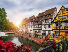 包含法国羽毛球队绝杀丹麦羽毛球队，戴资颖惊艳世界的词条