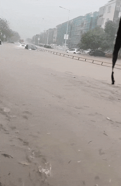 波兰抢眼表现，瑞典遭遇狂风暴雨！